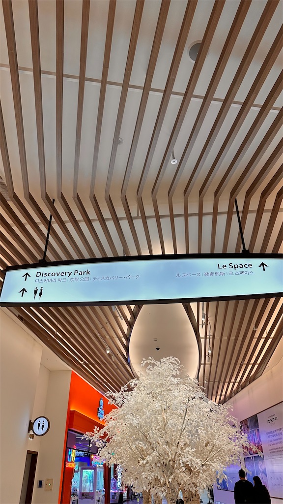 f:id:plumeria8:20250201213107j:image