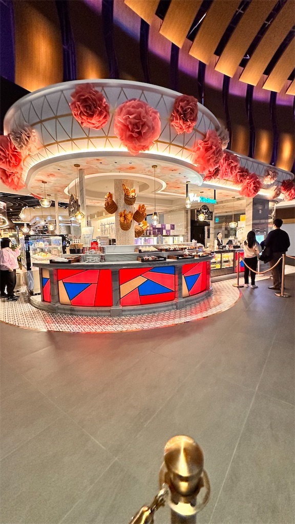 f:id:plumeria8:20250201213113j:image