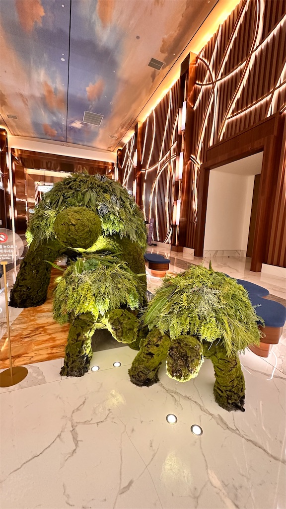 f:id:plumeria8:20250201213158j:image