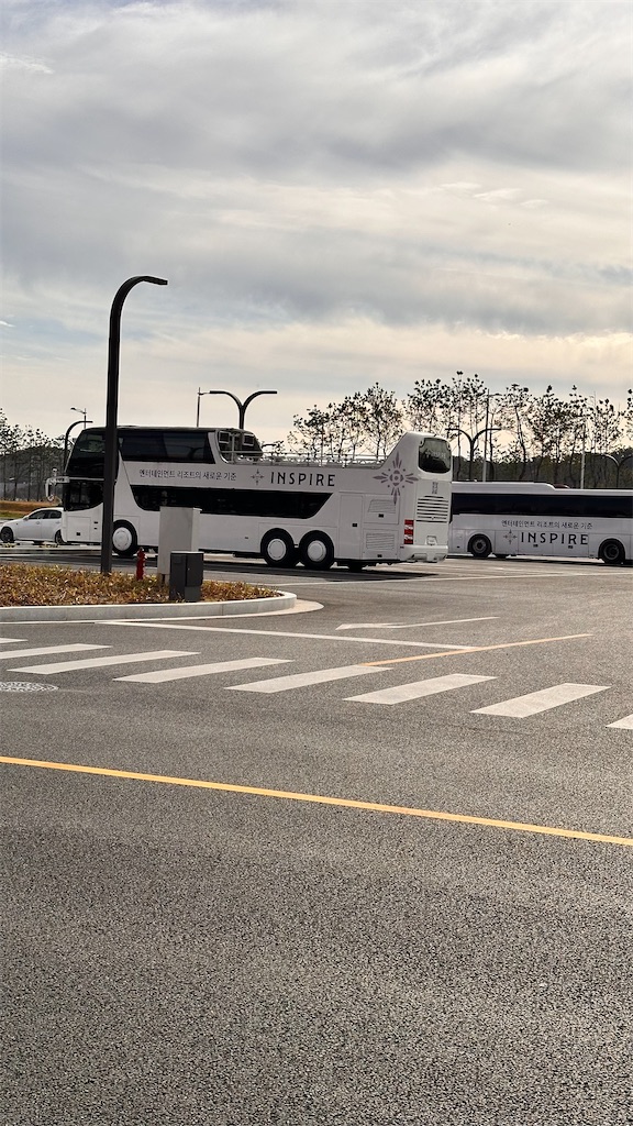 f:id:plumeria8:20250201213203j:image