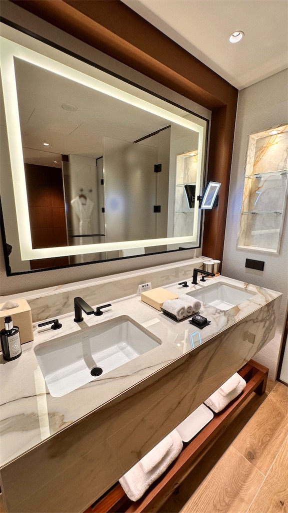 f:id:plumeria8:20250201213258j:image