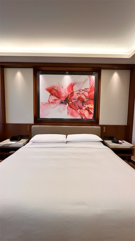 f:id:plumeria8:20250201213321j:image