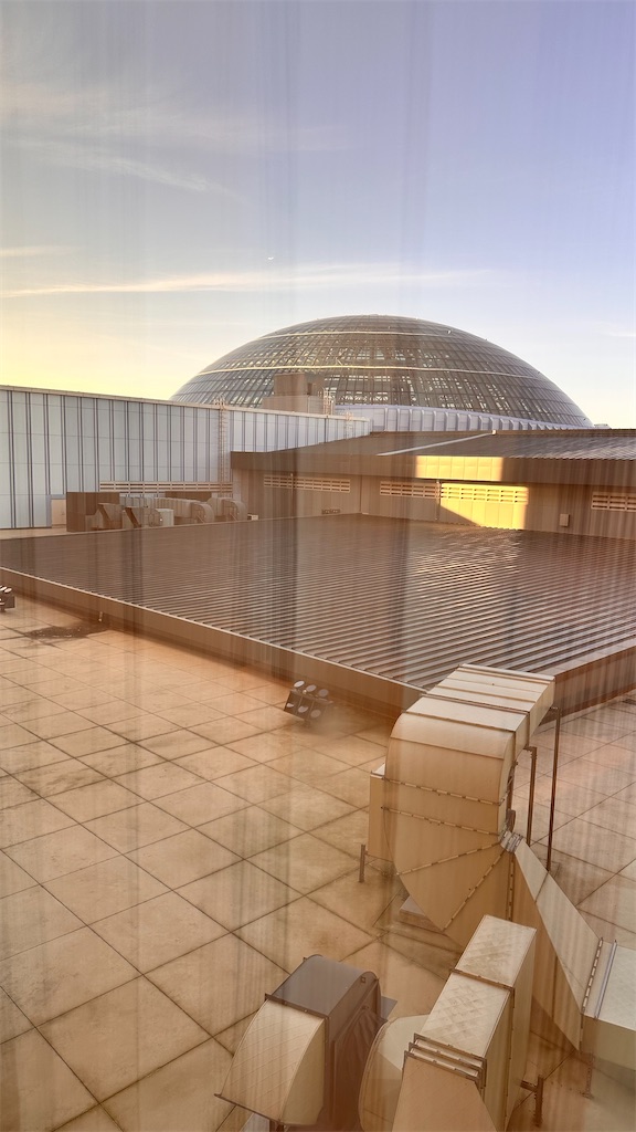 f:id:plumeria8:20250201213339j:image