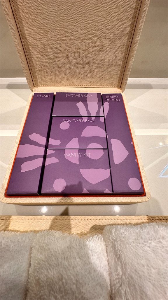 f:id:plumeria8:20250201213348j:image