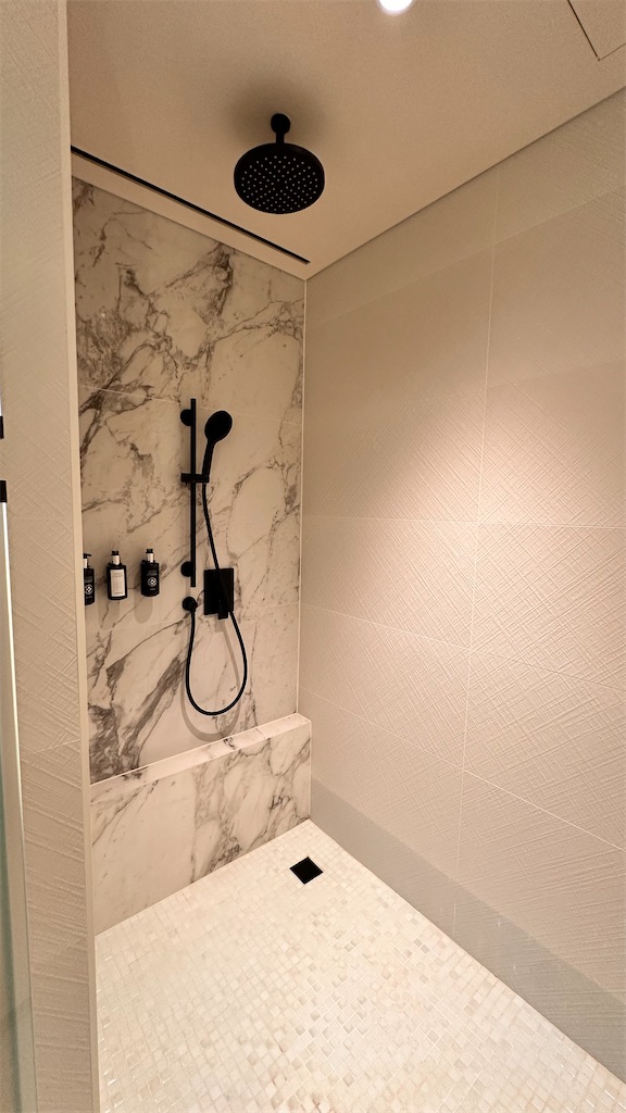 f:id:plumeria8:20250201213411j:image