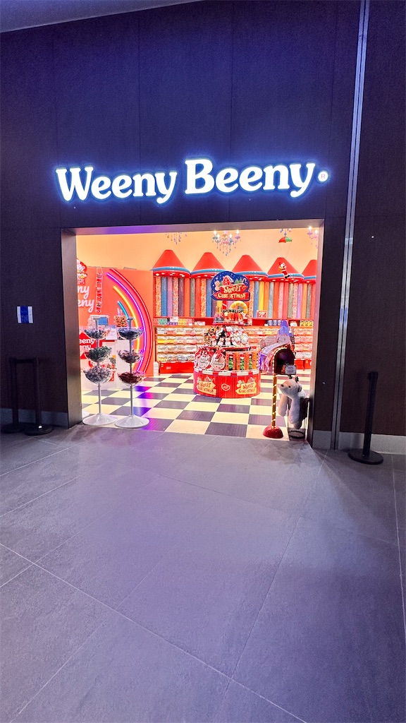 f:id:plumeria8:20250201213432j:image