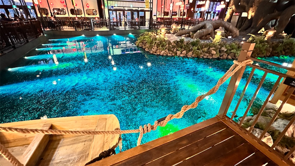 f:id:plumeria8:20250201213441j:image