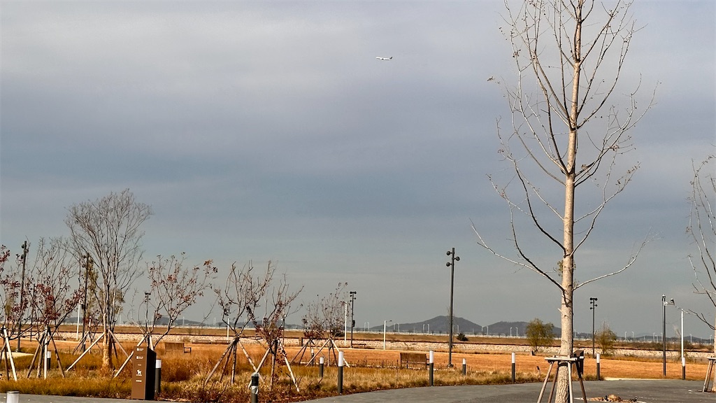 f:id:plumeria8:20250201213445j:image