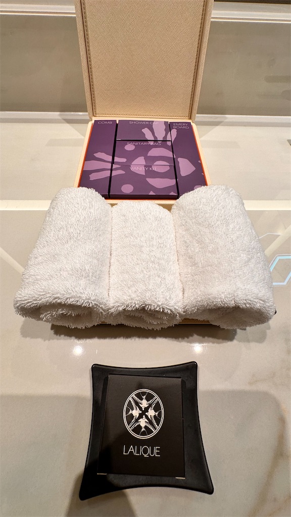 f:id:plumeria8:20250201213513j:image