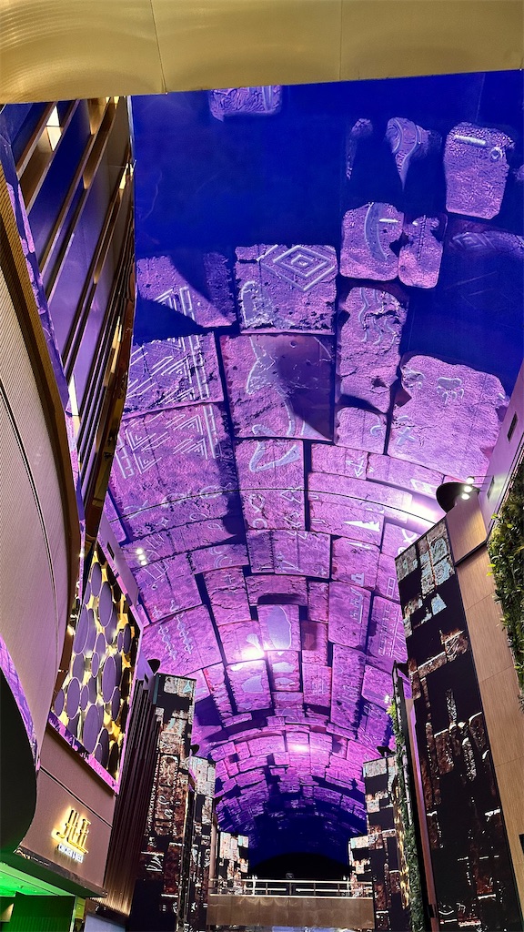 f:id:plumeria8:20250201213527j:image