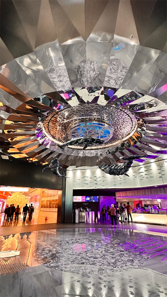 f:id:plumeria8:20250201213558j:image