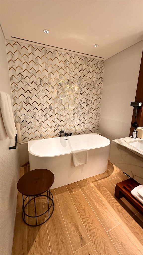 f:id:plumeria8:20250201213616j:image