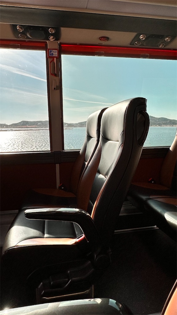 f:id:plumeria8:20250201213621j:image