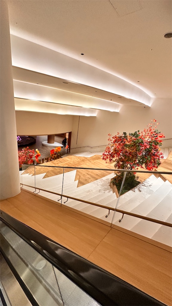 f:id:plumeria8:20250201213629j:image