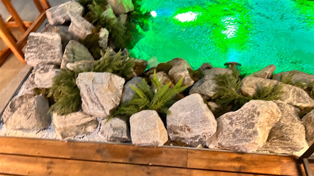 f:id:plumeria8:20250201213638j:image