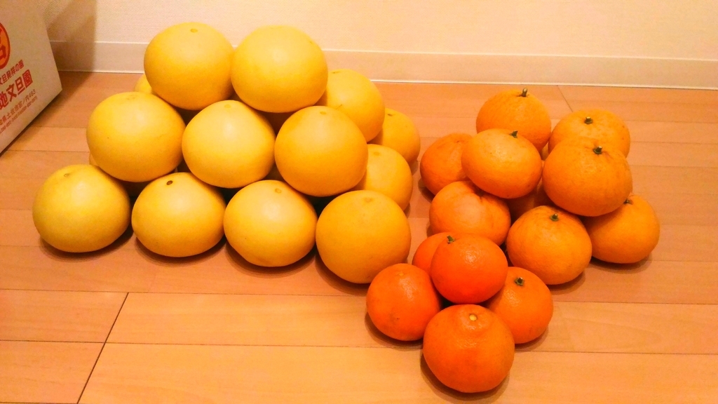 f:id:plumeriacoffee:20190304135225j:plain