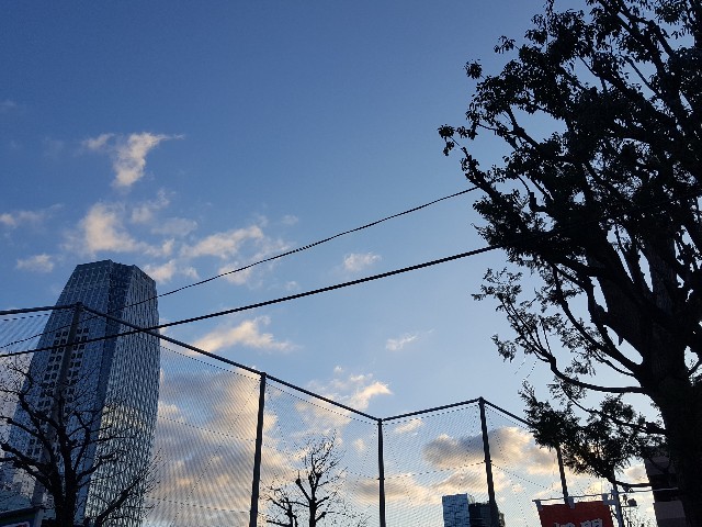 f:id:plumiu:20190113142132j:image f:id:plumiu:20190113142132j:image