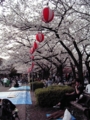 [【obj】花撮り][錦糸町][錦糸公園]07年さくらまつり