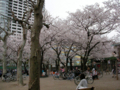 [【obj】花撮り][錦糸町][錦糸公園]07年さくらまつり