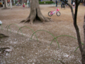 [【obj】花撮り][錦糸町][錦糸公園]07年さくらまつり