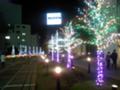 [新宿][【sce】夜景][ｲﾙﾐﾈｰｼｮﾝ]