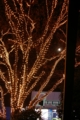 [【sce】夜景][渋谷][ｸﾘｽﾏｽ][Cosina MF 28mm F3.5(MD Mount改]