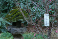 [九段下][【obj】花撮り][碑][SMC TAKUMAR 55mm F1.8][神社仏閣]灯篭の苔むすかばね陸士梅