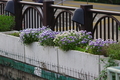 [秋葉原][【obj】街撮り][SMC TAKUMAR 135mm F3.5]