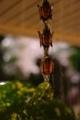 [【obj】街撮り][【sce】夜景][【sce】雨景][ｽﾅｯﾌﾟｼｮｯﾄ][FA 50mm F1.7]