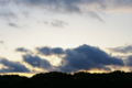[代々木公園][【obj】空撮り][TAMRON SP AF28-75mm F2.8]