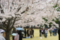 [九段下][【obj】花撮り][ｽﾅｯﾌﾟｼｮｯﾄ][SMC TAKUMAR 55mm F1.8]