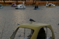 [上野公園][動物][ｽﾅｯﾌﾟｼｮｯﾄ][SMC TAKUMAR 135mm F3.5]