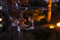 [九段下][神社仏閣][【obj】植物][SMC TAKUMAR 55mm F1.8]