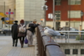 [秋葉原][神田川][人物][動物][ｽﾅｯﾌﾟｼｮｯﾄ][TAMRON SP AF28-75mm F2.8]