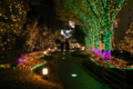 [新宿][【sce】夜景][ｲﾙﾐﾈｰｼｮﾝ][SMC TAKUMAR 28mm F3.5]