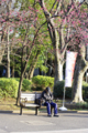 [【obj】花撮り][上野公園][ｽﾅｯﾌﾟｼｮｯﾄ][人物][DA ★50-135mm F2.8]2/21上野公園