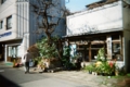 [blackbird,fly] filmはAGFAのASA400。中央部だけがまともに写って四方はぼやける。