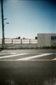 [blackbird,fly] filmはAGFAのASA400のもの