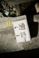 [blackbird,fly] filmはAGFAのASA400のもの
