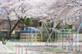 [【obj】街撮り][【obj】花撮り][【the】墨田の桜][DA ★50-135mm F2.8]