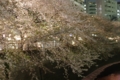 [中目黒][目黒川の夜桜][【obj】花撮り][FA 35mm F2]