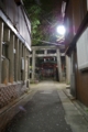 [向島][【sce】夜景][COSINA 24mm F2.8 MC MACRO]