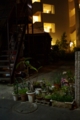 [向島][【sce】夜景][COSINA 24mm F2.8 MC MACRO]