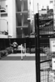 [渋谷][Monochrome][ｽﾅｯﾌﾟｼｮｯﾄ][PENTAX-M 28mm F3.5]