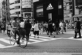 [渋谷][Monochrome][ｽﾅｯﾌﾟｼｮｯﾄ][PENTAX-M 28mm F3.5]