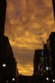 f:id:plummet:20090719190212j:image:medium f:id:plummet:20090719190212j:image:medium