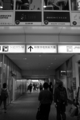 [秋葉原][夜撮り][Monochrome]