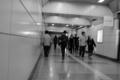[秋葉原][夜撮り][Monochrome]