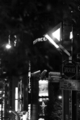 [秋葉原][夜撮り][Monochrome]