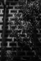 [秋葉原][夜撮り][Monochrome]